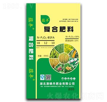 �ͺϷ���18-12-10��BSFA��-�N�S-���׵�