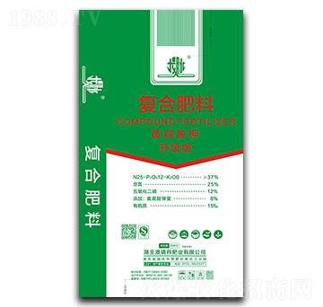 �S����⛏ͺϷ���25-12-8��BSFA��-���}-���׵�