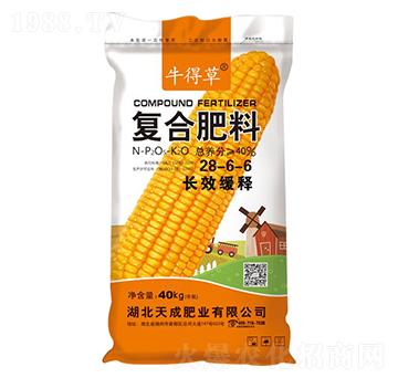 �L(zh��ng)Ч��ጏ�(f��)�Ϸ���28-6-6-ţ�ò�-��˹��