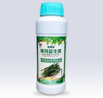 韭菜專用植物益生菌-文隆夢(mèng)陽(yáng)