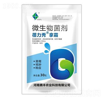 ΢�������-��������˪-�v�S�r�I(y��)