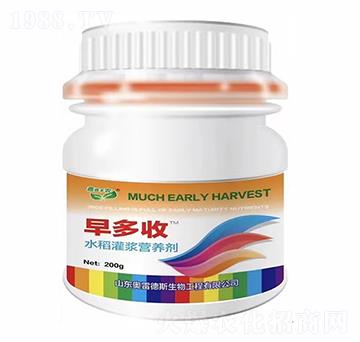水稻灌漿營養(yǎng)劑-早多收-奧雷德斯