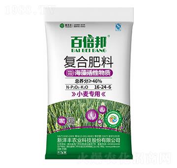 小麥專用海藻活性復合肥料16-24-6-百倍邦-新洋豐