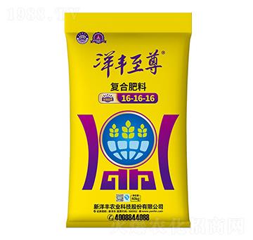 復(fù)合肥料16-16-16-新洋豐