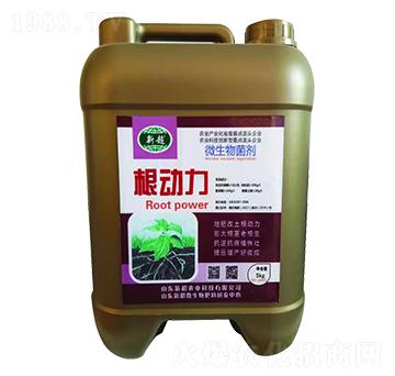 ΢�������-������-�³��r�I(y��)