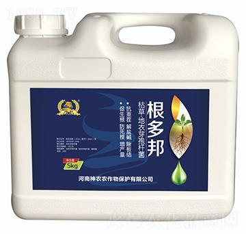 �ݲ�ѿ�ߗU��-�����-�������r