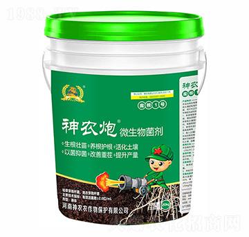 ΢�������-����n⛷�-�������r