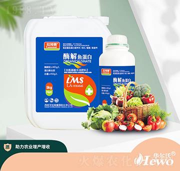 酶解魚蛋白-拉坶賽-華爾沃