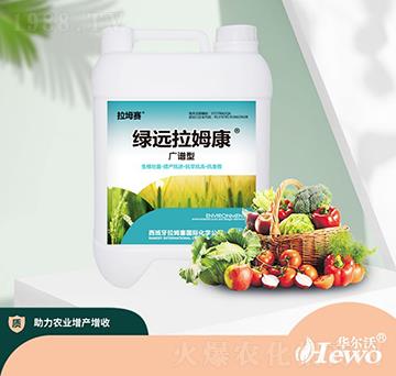 綠遠(yuǎn)拉姆康-拉坶賽-華爾沃