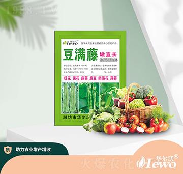 豆?jié)M藤嫩直長-華爾沃