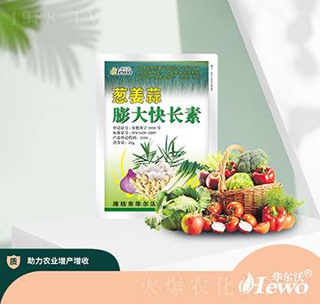 蔥姜蒜膨大快長素-華爾沃