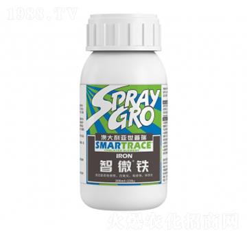 ��΢�F-�����ط�