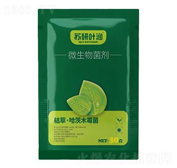 ΢�������-�K���~��(r��n)-�K��ӡ��