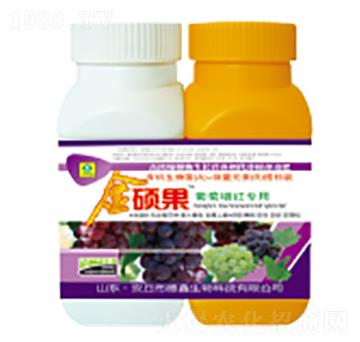 �������t�����~���-��T��-��������