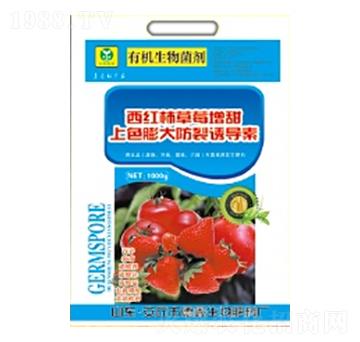 ���t����ݮ������ɫ�������T��(d��o)��-��������