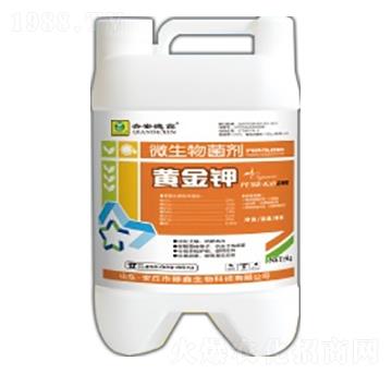 ΢�������-�S���-��������