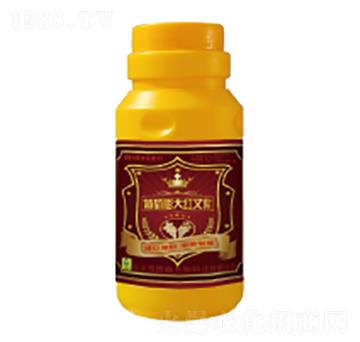 ����������~���-��������