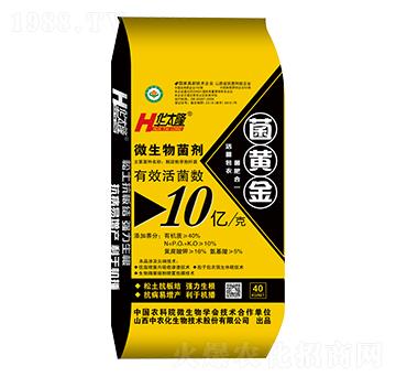 ΢�������-���S��-��