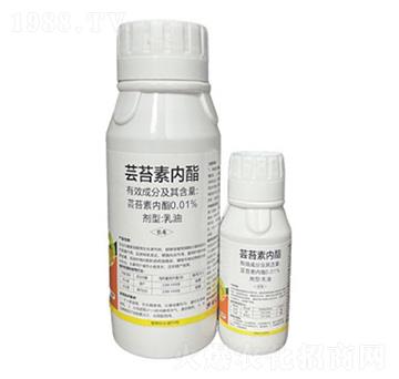 �|̦�؃���-��������