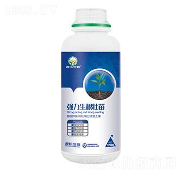 含腐植酸水溶肥料-強(qiáng)力生根壯苗-波樂生物
