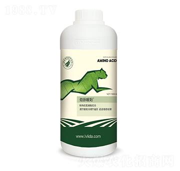 ���{(di��o)��(ji��)���״��M(j��n)��-���}ů�-�G���_(d��)