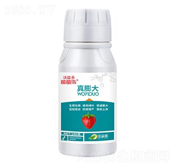 真膨大中量元素水溶肥料-莓莓樂-沃益多