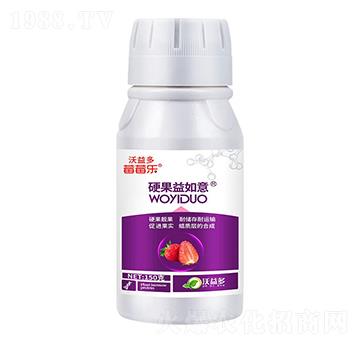 硬果益如意中量元素水溶肥料-莓莓樂-沃益多