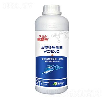 沃益多魚蛋白-莓莓樂-沃益多