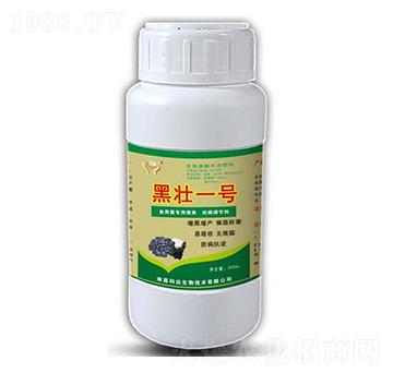 菇笑笑·黑壯一號-科達生物