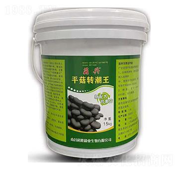 平菇轉潮王-菇興-科達生物