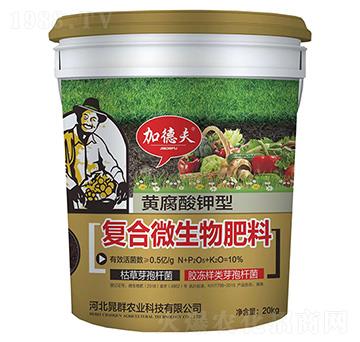 黃腐酸鉀型復合微生物肥料-加德夫-晁群農(nóng)業(yè)