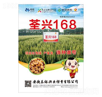 小麥種子-荃興168-荃銀興大