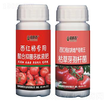 西紅柿專(zhuān)用螯合抑菌多肽液肥+西紅柿抗病增產(chǎn)奇效王-諾威克