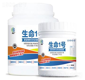 ����1̖-��ï����