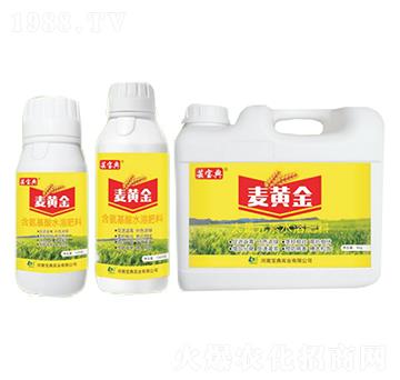 麥黃金-蕓寶典-寶典實(shí)業(yè)