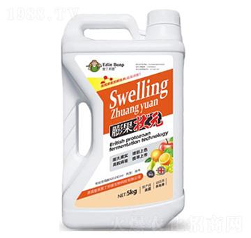 �����Ԫ-�۶�����