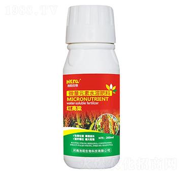 �t����-�������