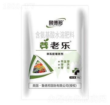 含氨基酸水溶肥料-芽老樂(lè)-魯?shù)掳? />
                                </div>
                            </div>
                            
                            <style type=