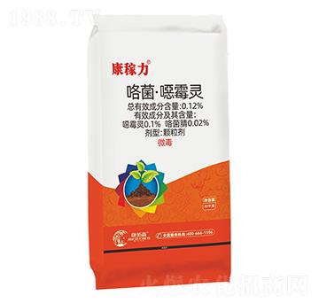 ���������ڲ���-������-����ɭ