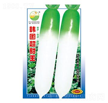 蘿卜種子-韓國(guó)超甜王-太樂(lè)種業(yè)