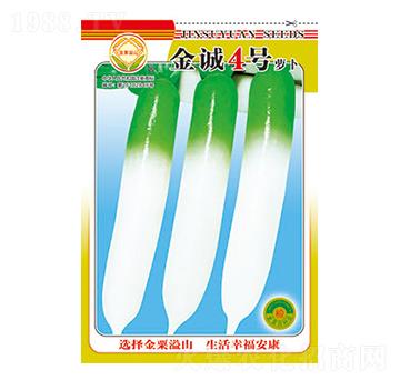 蘿卜種子-金誠(chéng)4號(hào)-太樂(lè)種業(yè)