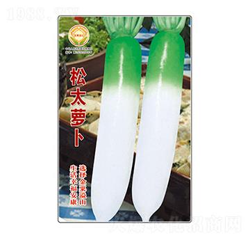 蘿卜種子-松太蘿卜-太樂(lè)種業(yè)