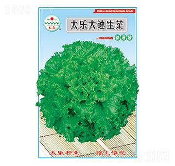 生菜種子-太樂(lè)大速生菜-太樂(lè)種業(yè)