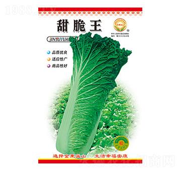 白菜種子-甜脆王-太樂種業(yè)