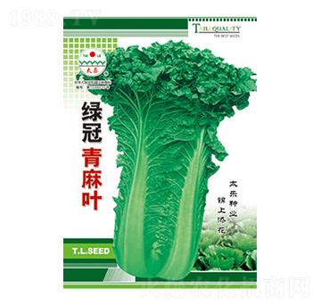 白菜種子-綠冠青麻葉-太樂種業(yè)