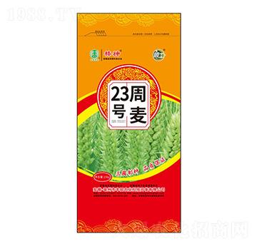 周麥23號小麥種子-豐田農(nóng)業(yè)