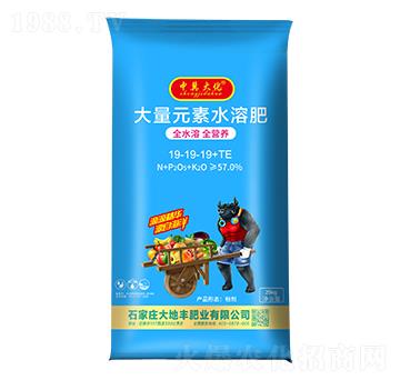 25kg大量元素水溶肥19-19-19+TE-中冀大化-大地豐