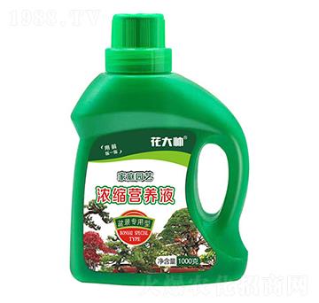 �辰�����ͼ�ͥ�@ˇ��s�I(y��ng)�B(y��ng)Һ-����-�G�ַʘI(y��)