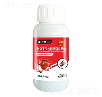 草莓專(zhuān)用殺螨助劑-滿(mǎn)小白2號(hào)-科利農(nóng)
