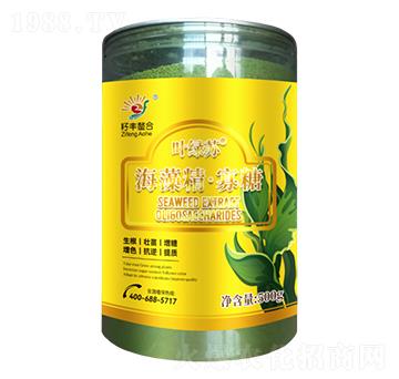 海藻精·寡糖-葉綠蘇-籽豐生物